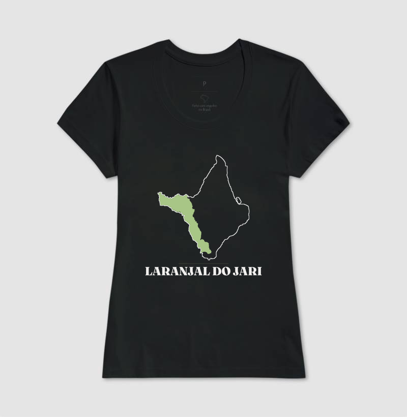 Laranjal do Jari | Traço AP - Imagem 3