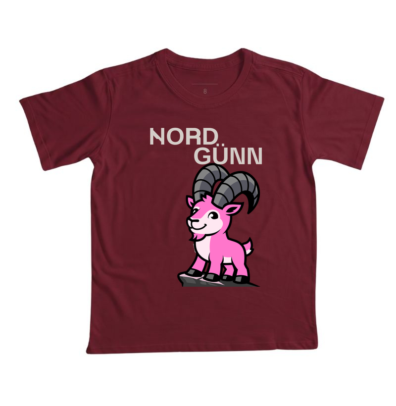 Camiseta Ibex dos Alpes Menina  - Imagem 6
