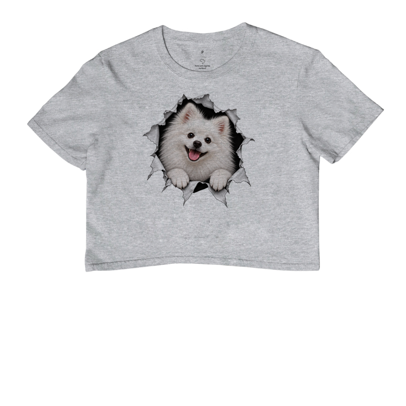 Pomerânia (Spitz Alemão) Saindo da Camisa - Imagem 6