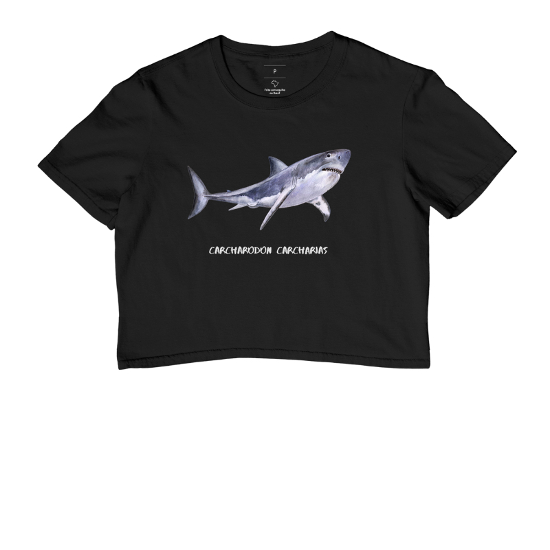 Carcharodon carcharias - Imagem 4