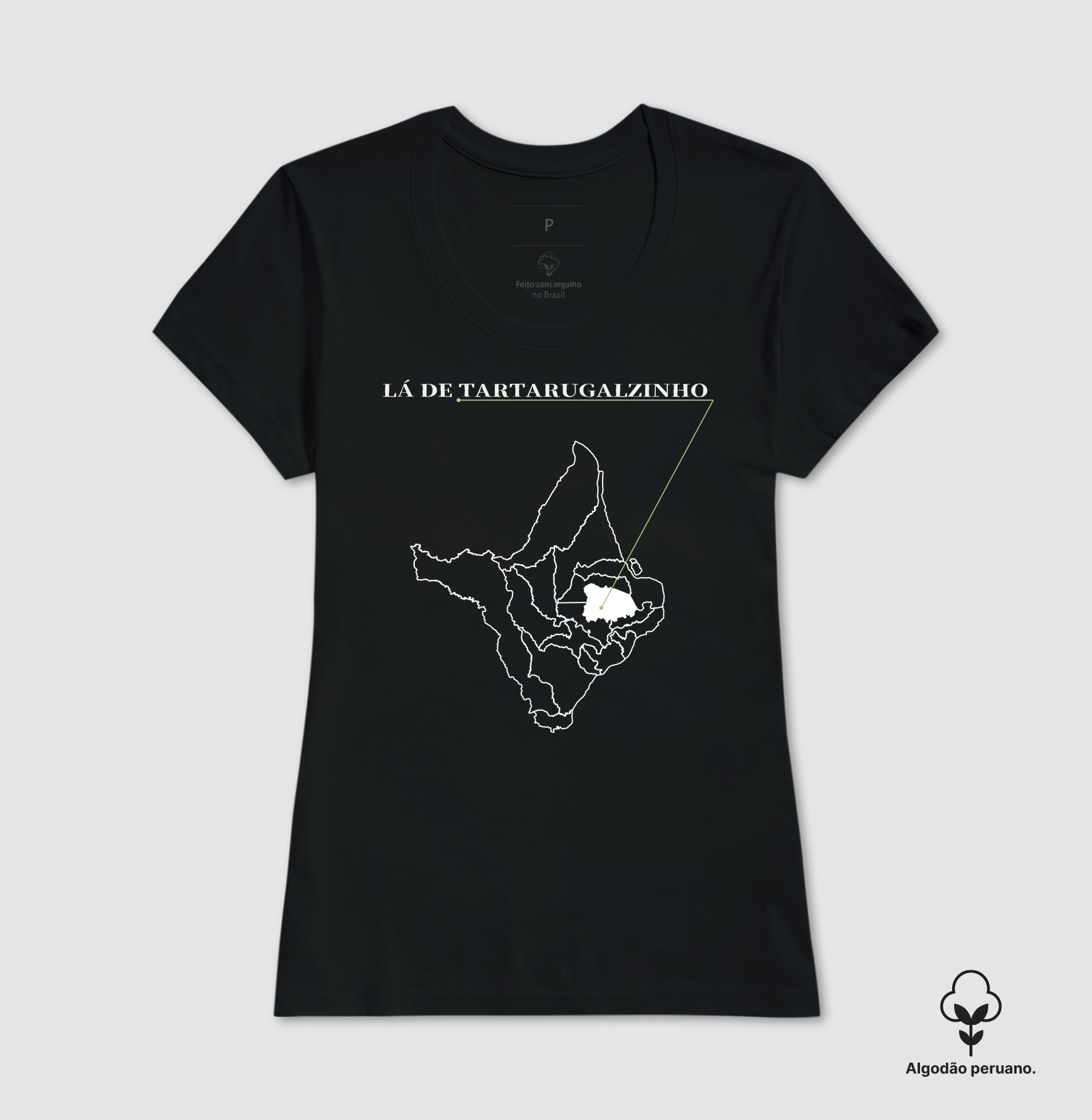 Tartarugalzinho | Origem AP - Imagem 6