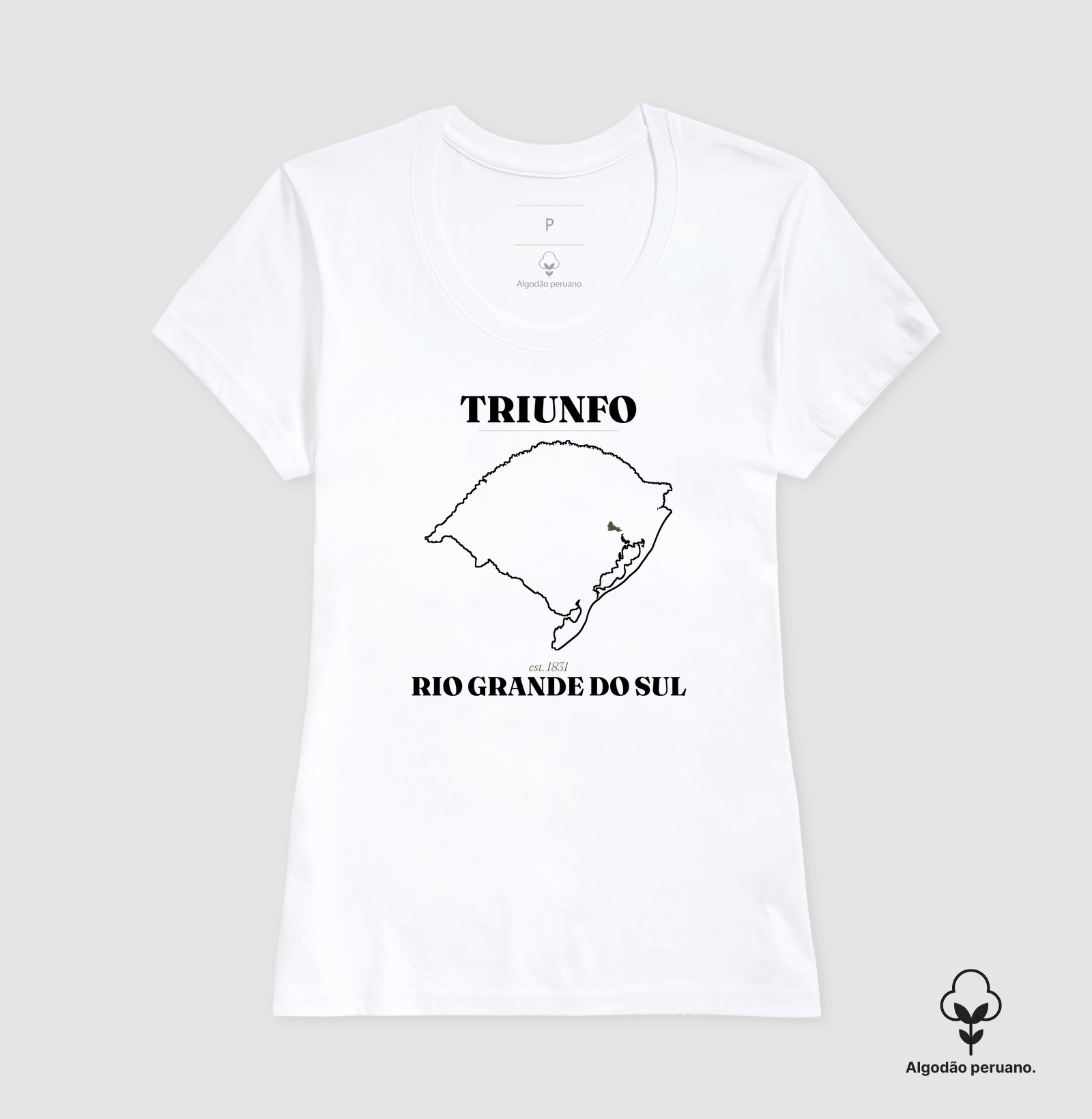 Camisa 2