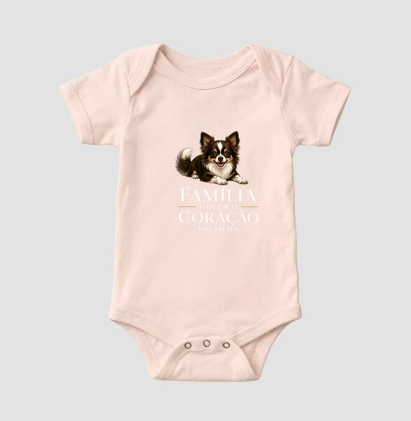 Chihuahua Pelo Longo Marrom e Branco - Família - Imagem 5