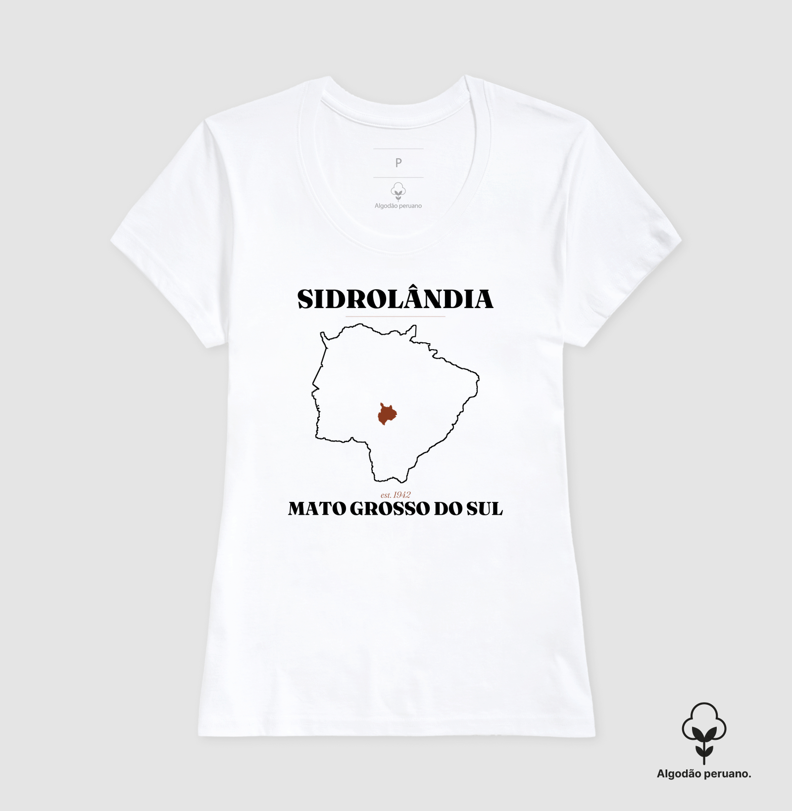 Sidrolândia | Legado MS - Imagem 7
