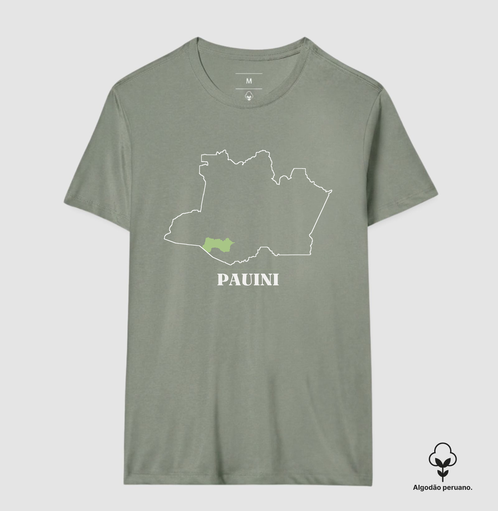 Pauini | Traço AM - Imagem 8