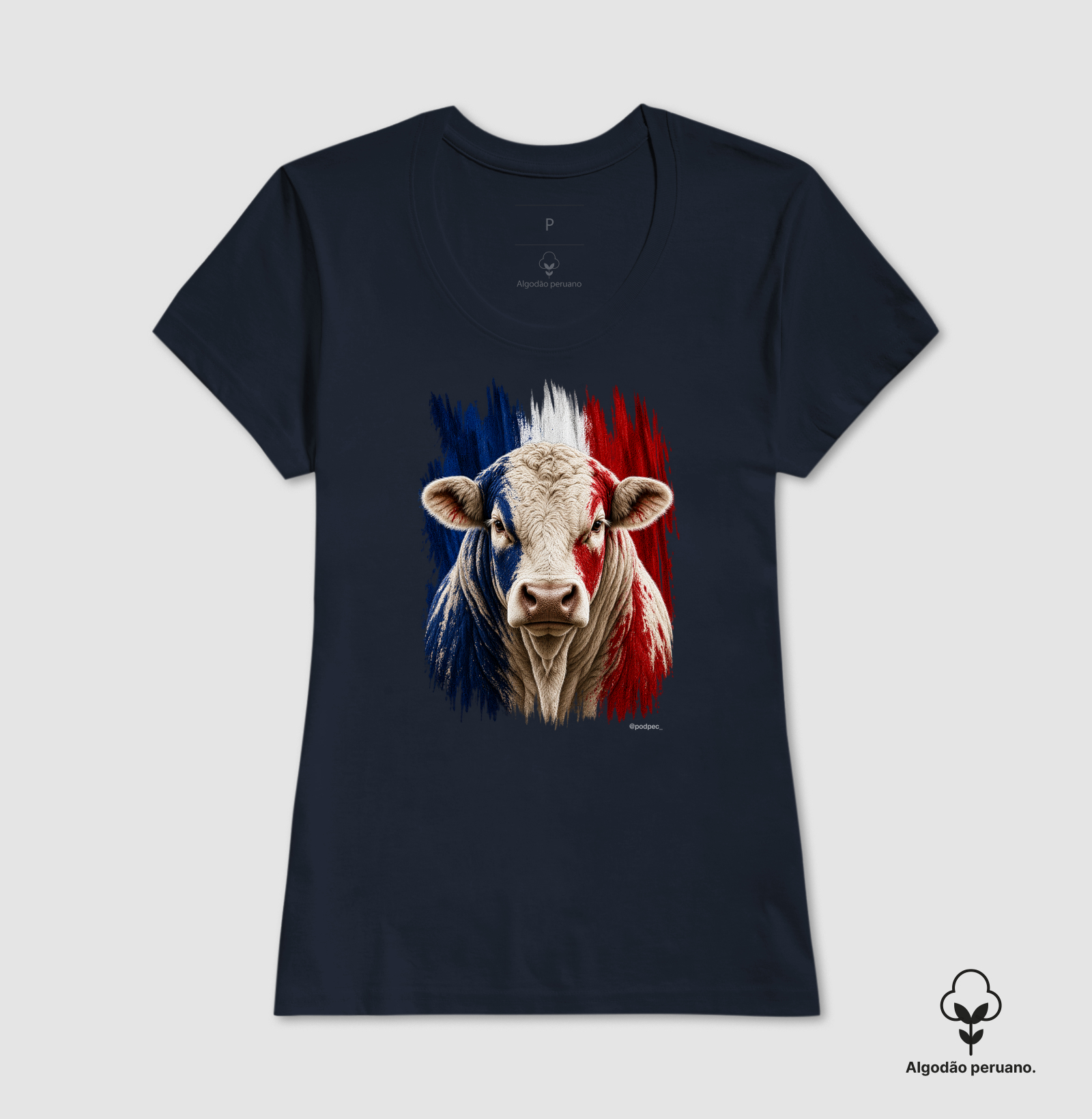 Charolês da França - Imagem 6