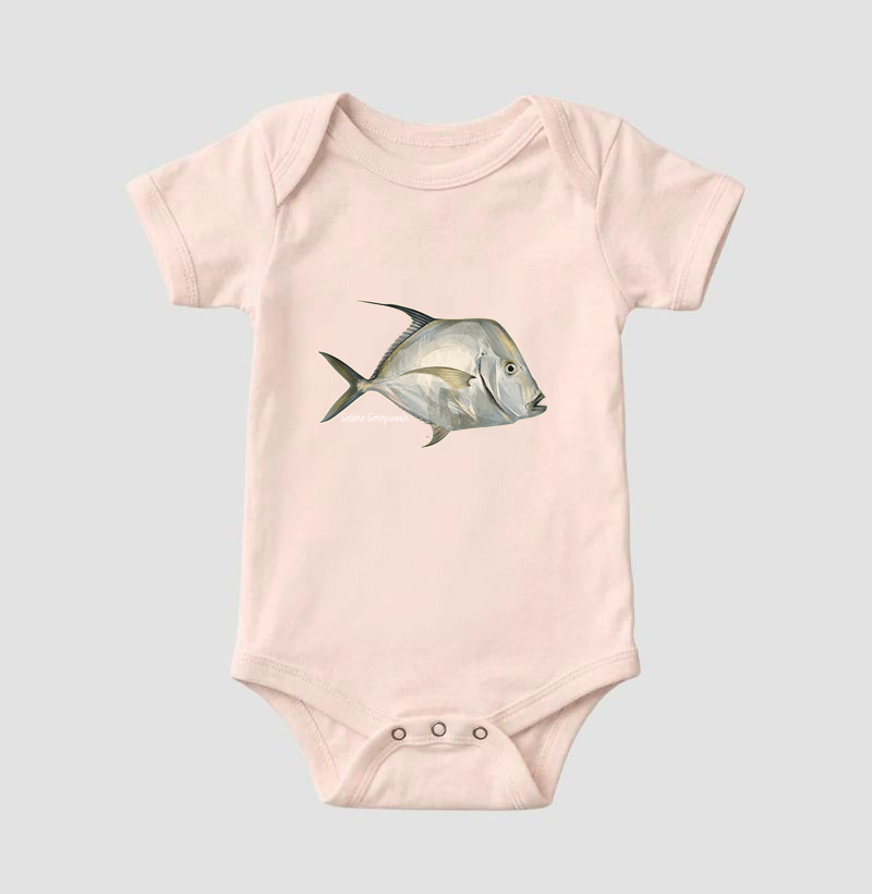 Peixe-Galo - Imagem 5