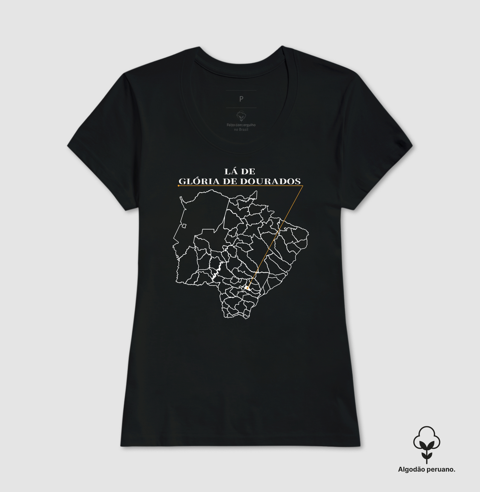 Glória de Dourados | Origem MS - Imagem 4