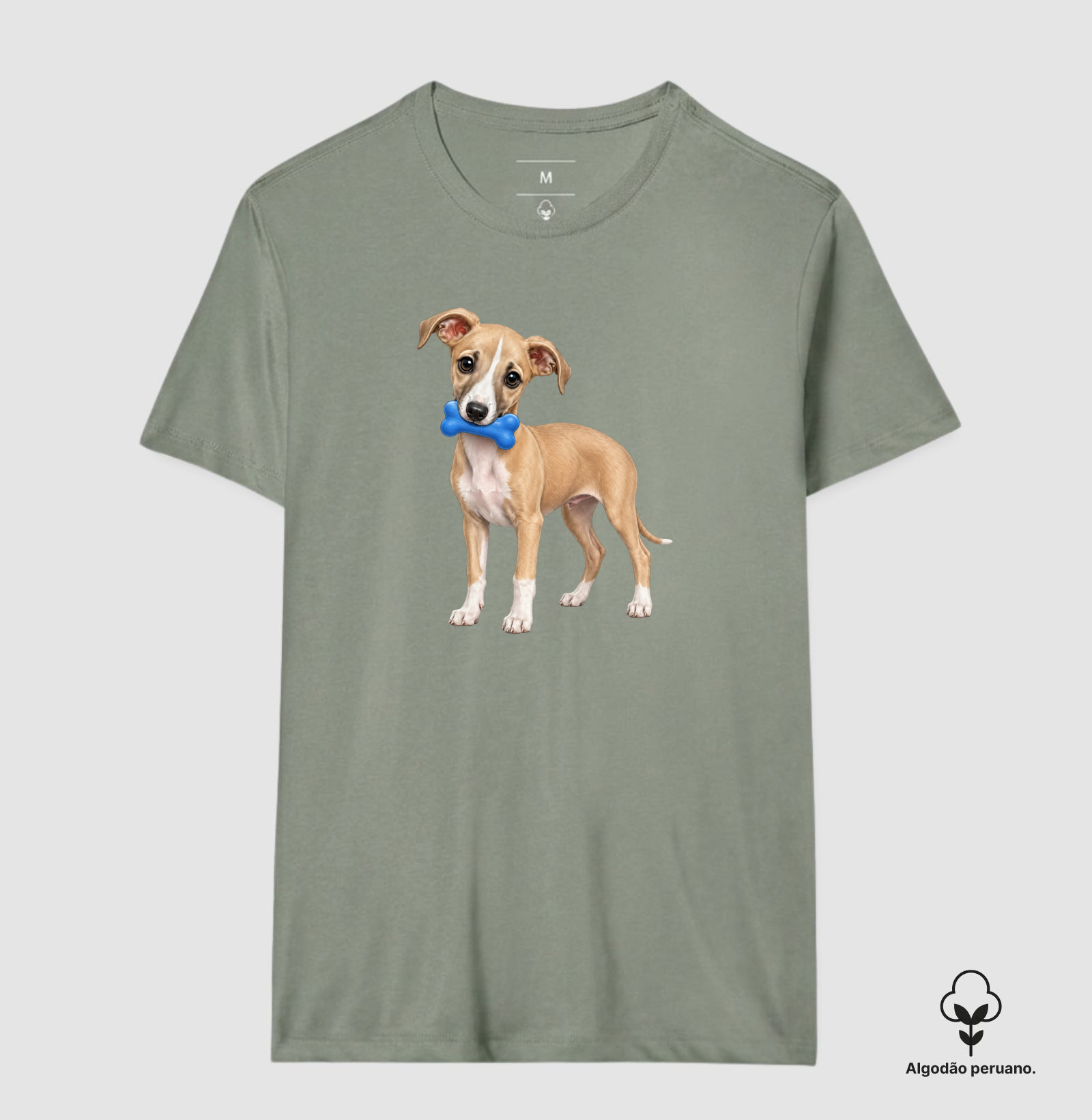 Whippet - Desenho Animado - Imagem 7