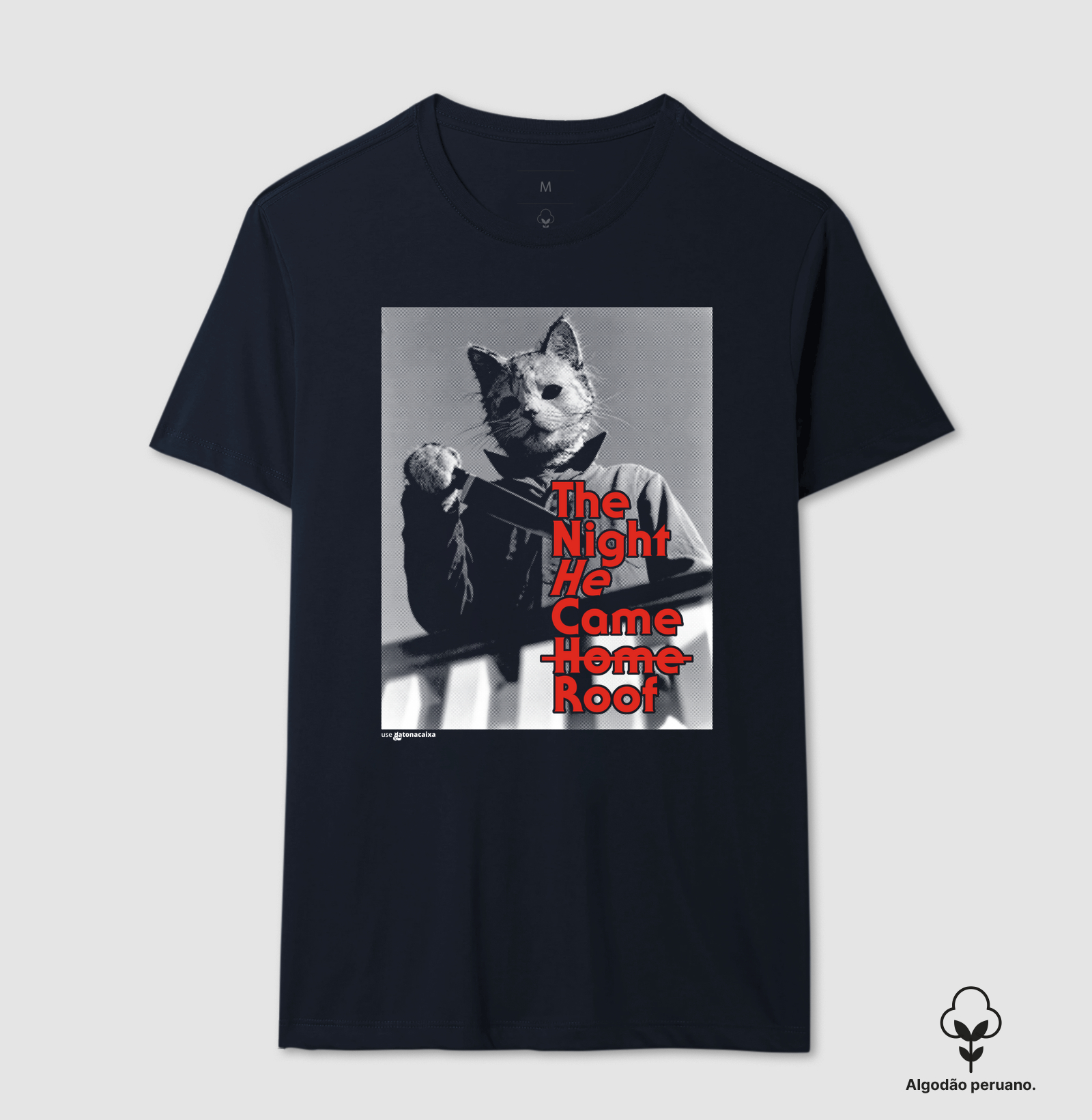 The Night He Came Roof - Imagem 2