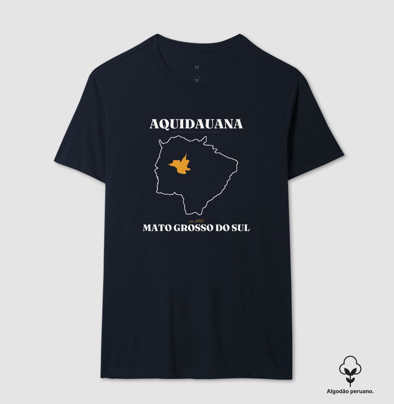 Aquidauana | Legado MS - Imagem 4