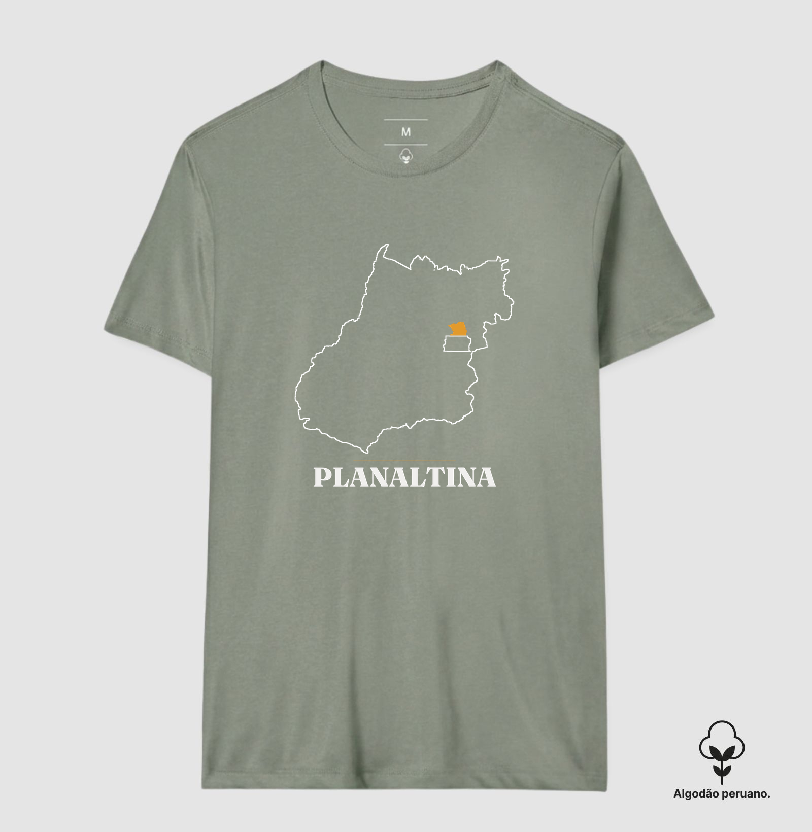 Planaltina | Traço GO - Imagem 9