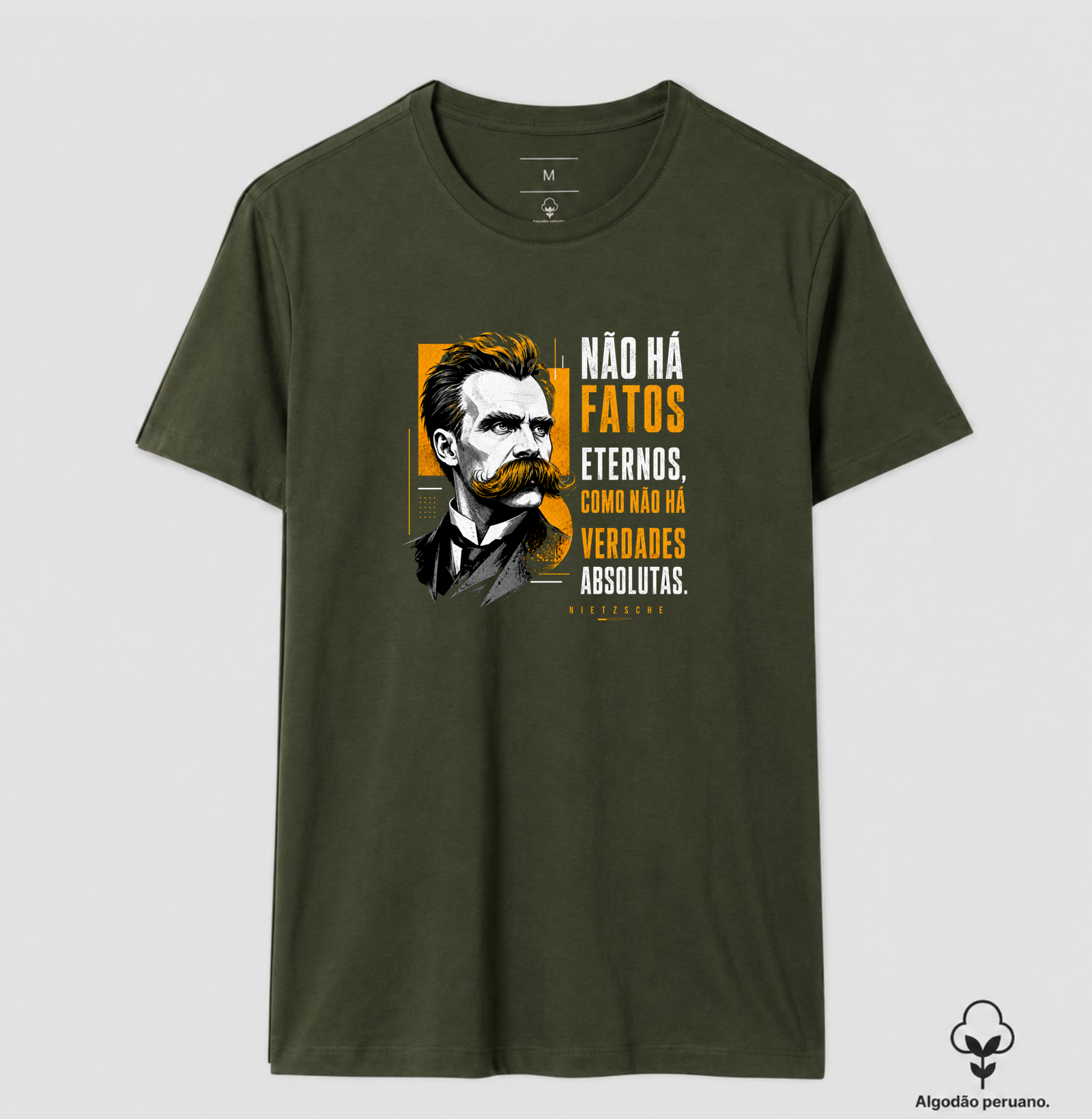 Filosofia de Nietzsche "Não há fatos eternos" - Imagem 7