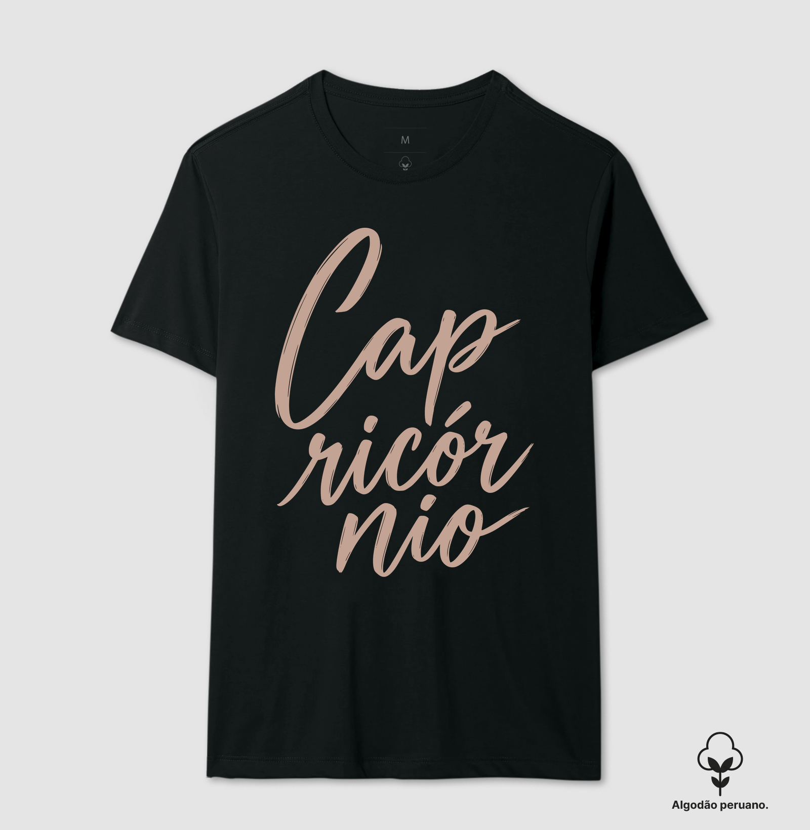 Capricórnio - Imagem 3