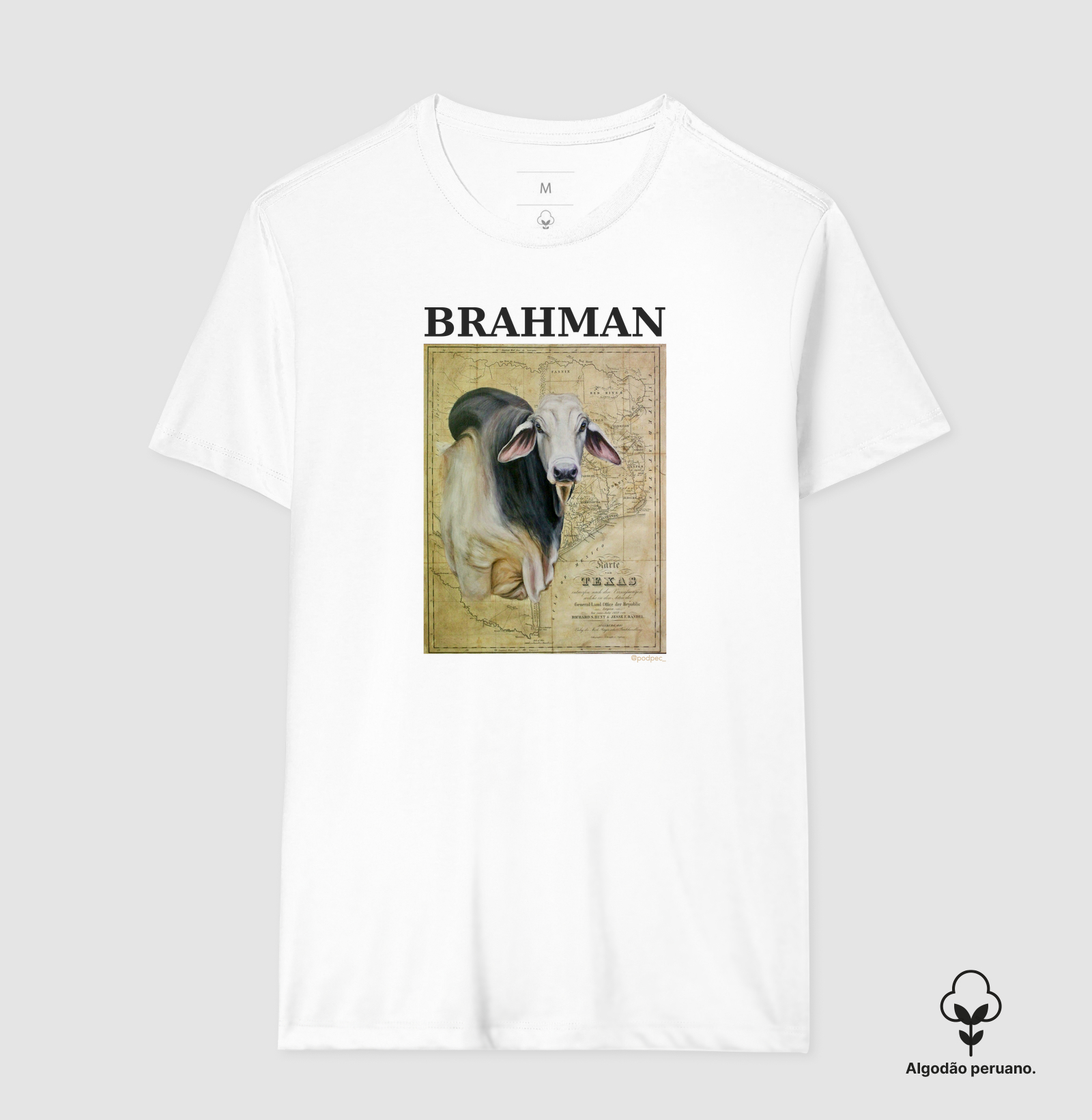 Brahman - From Texas - Imagem 4