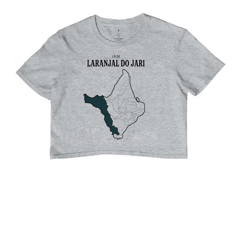 Laranjal do Jari | Território AP - Imagem 6