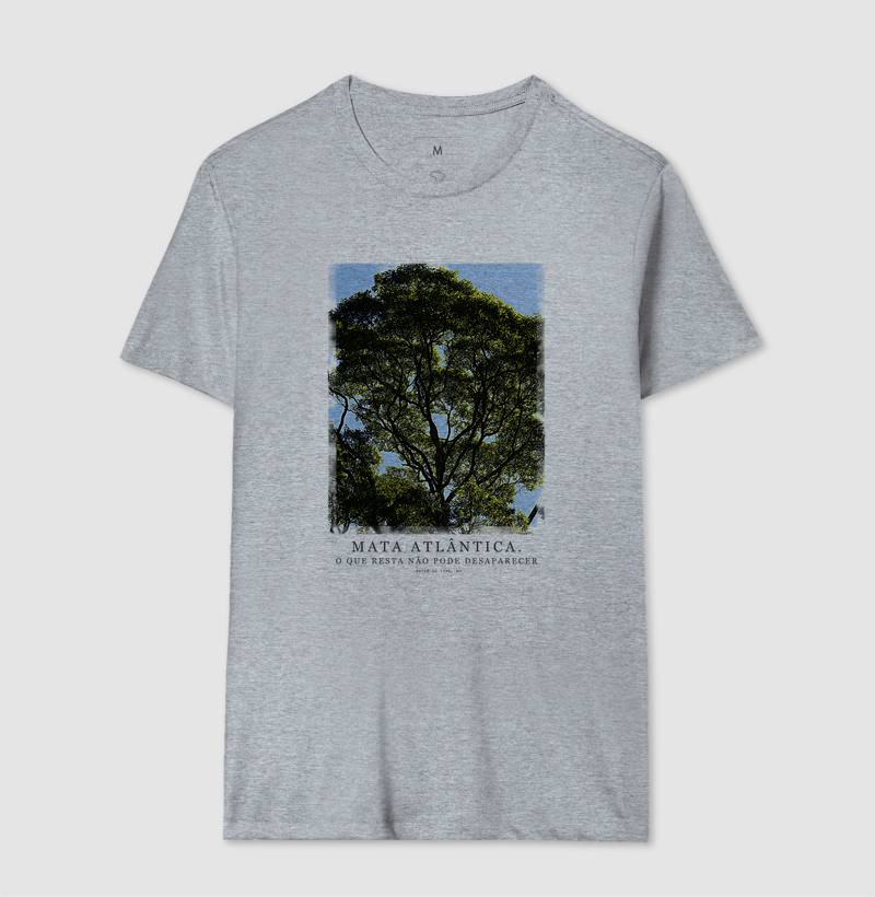 Mata Atlântica - Imagem 4