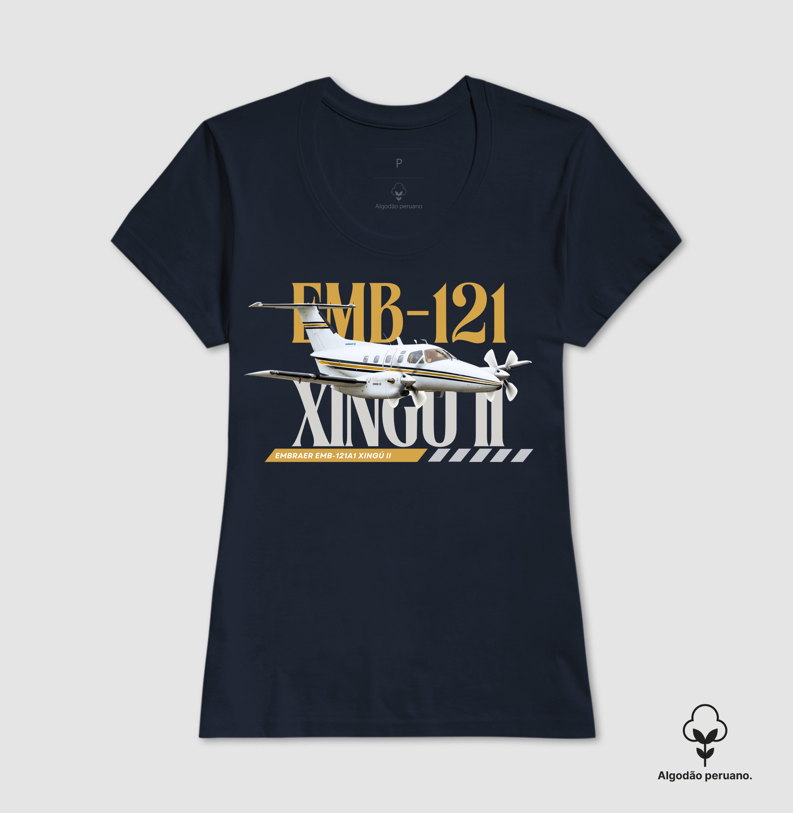 EMB121 Xingú II - PT-MCJ - Imagem 7