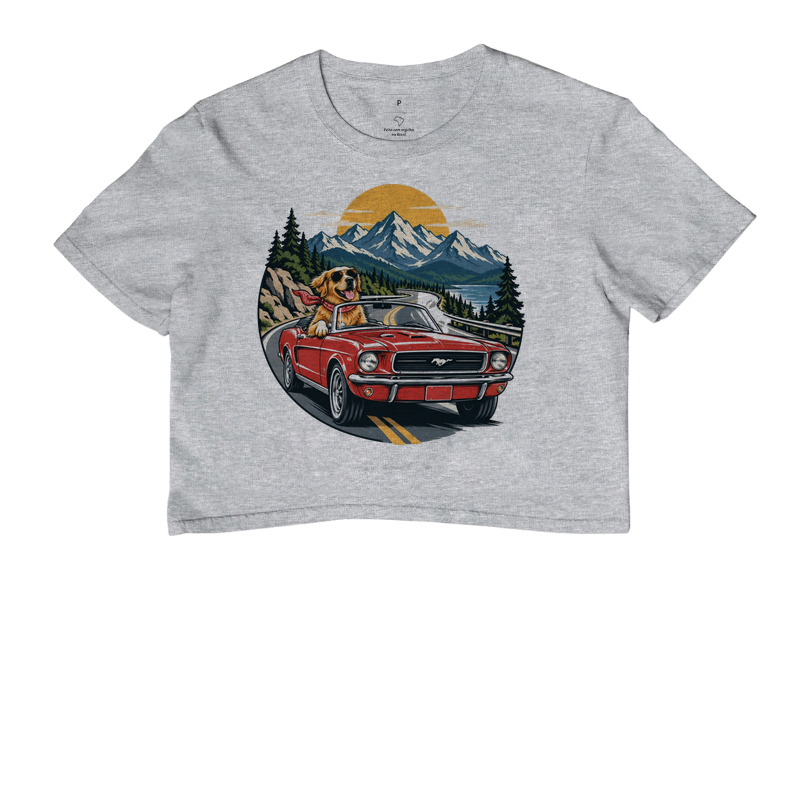Road Trip - Imagem 6