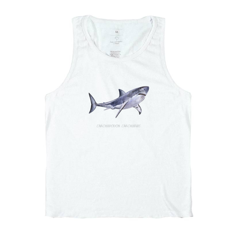 Carcharodon carcharias - Imagem 4