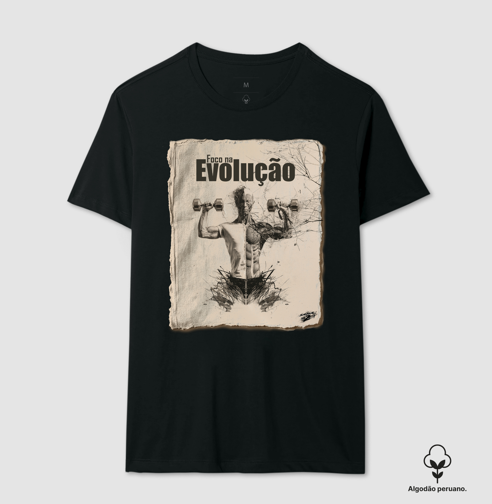 Foca na Evolução - Imagem 7