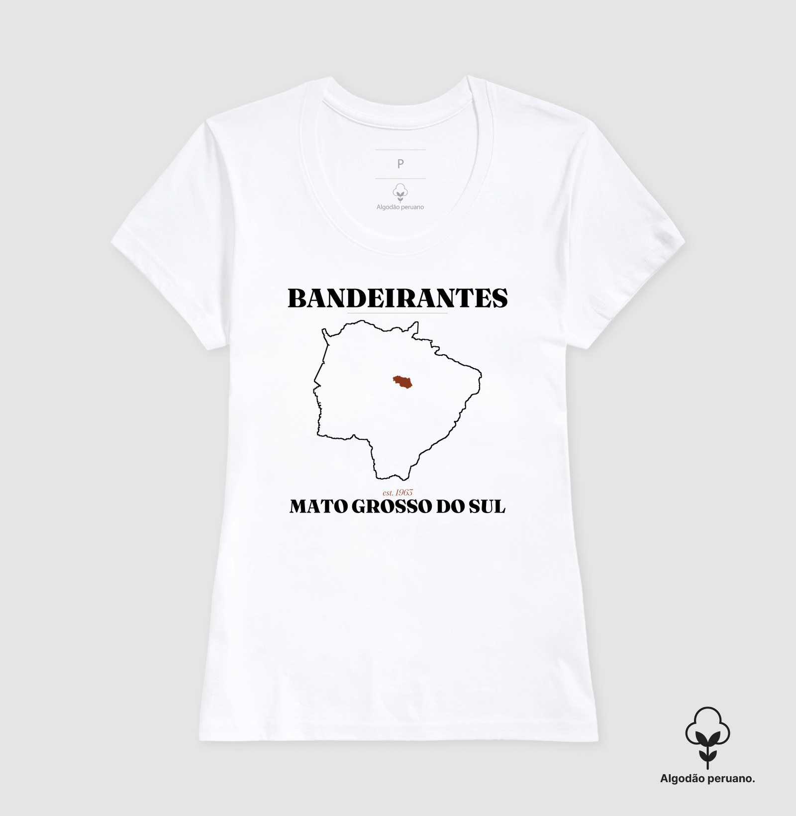 Bandeirantes | Legado MS - Imagem 9
