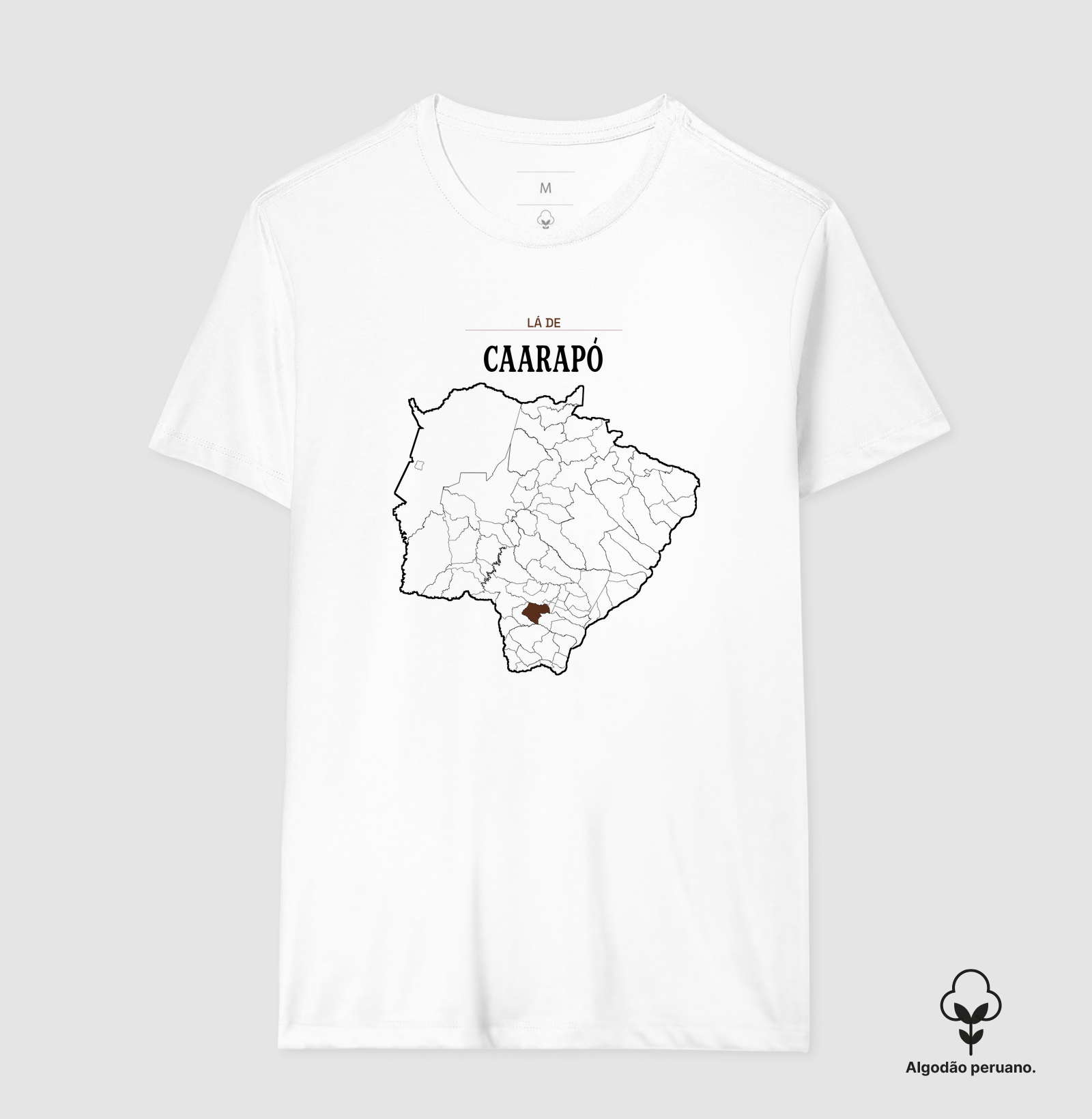 Caarapó | Território MS - Imagem 8