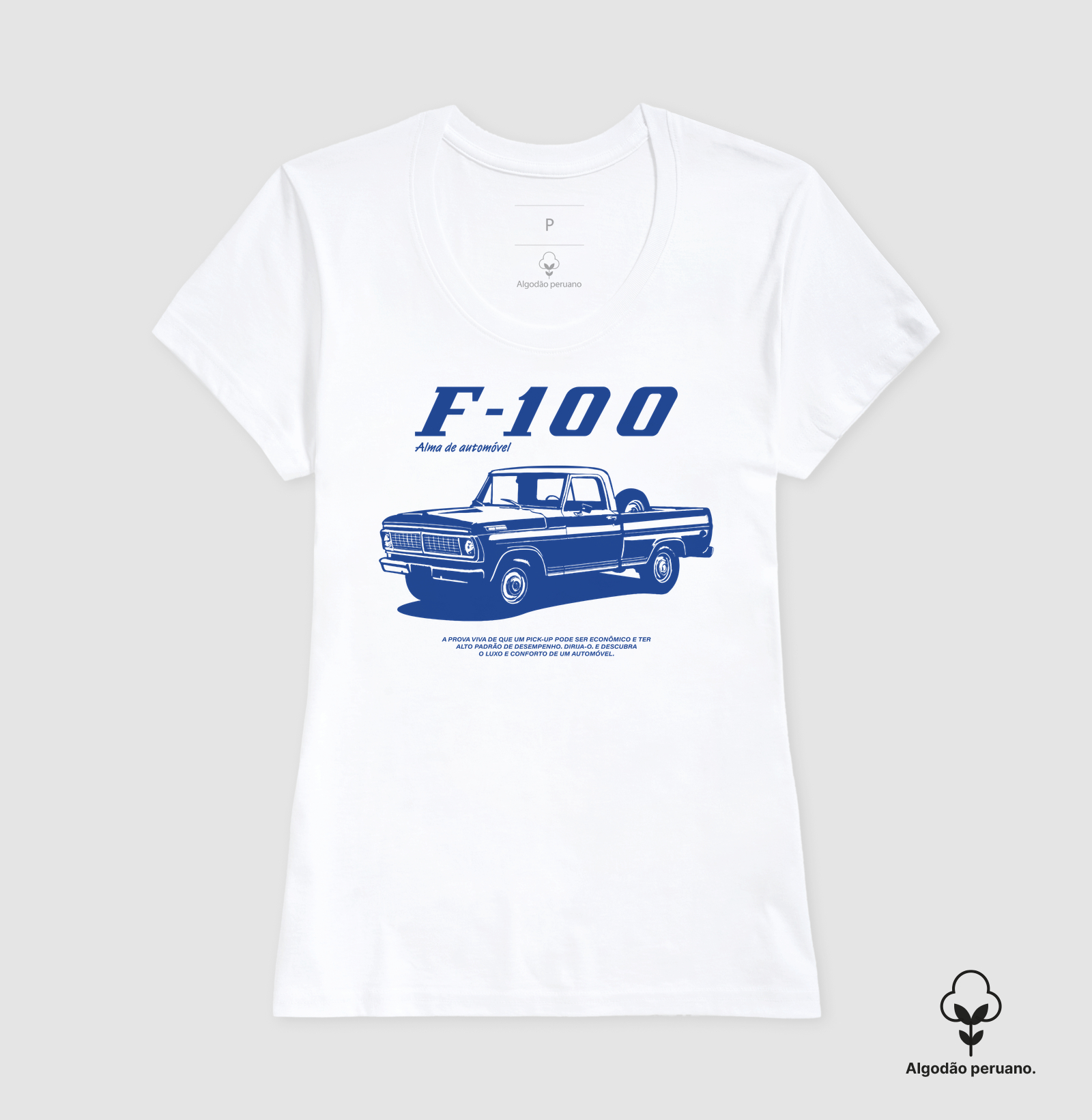 F-100 | Alma de Automóvel - Imagem 9