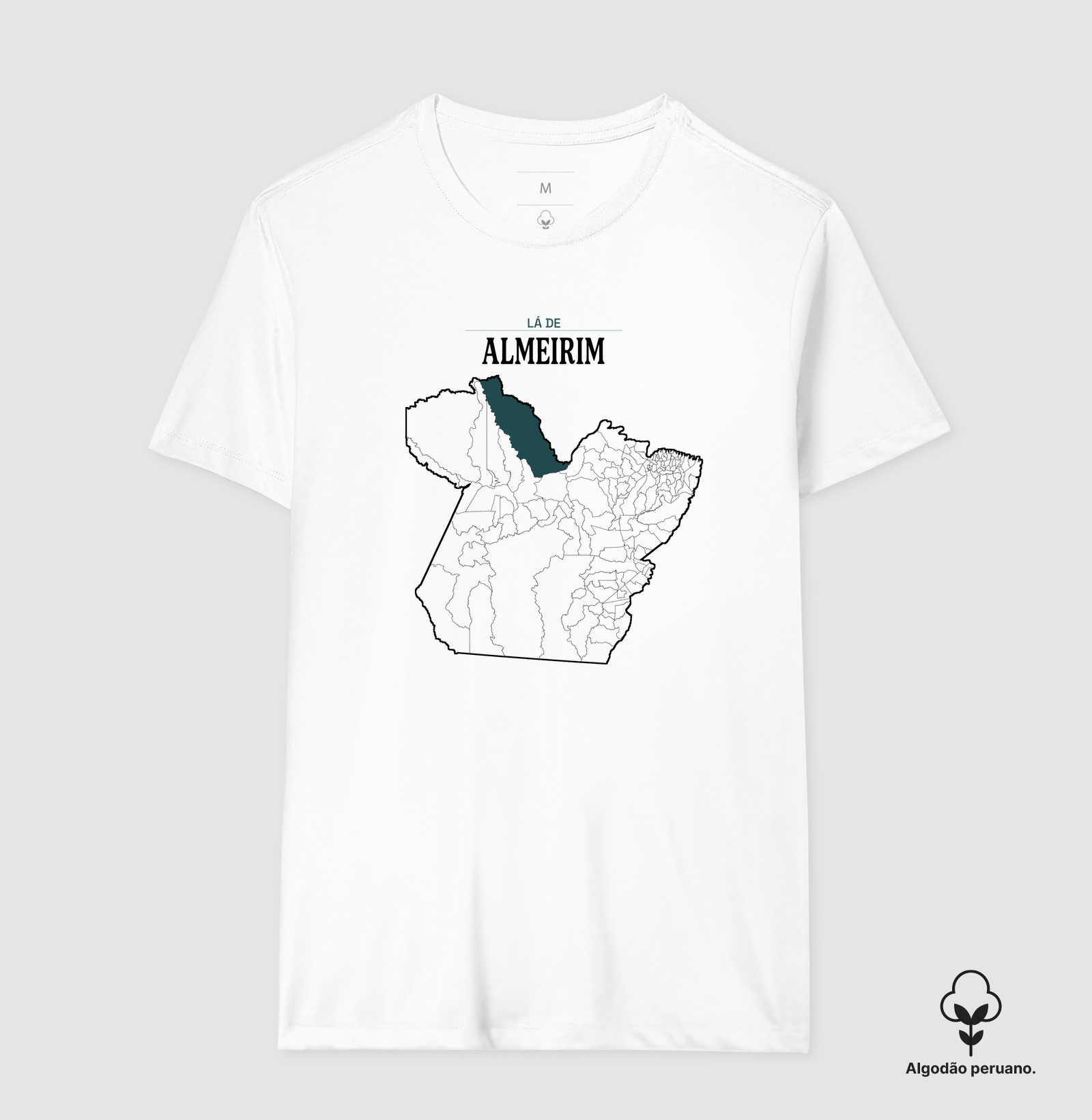 Almeirim | Território PA - Imagem 4