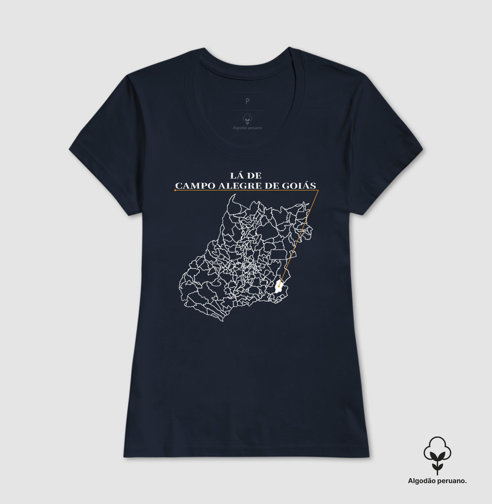 Campo Alegre de Goiás | Origem GO - Imagem 4