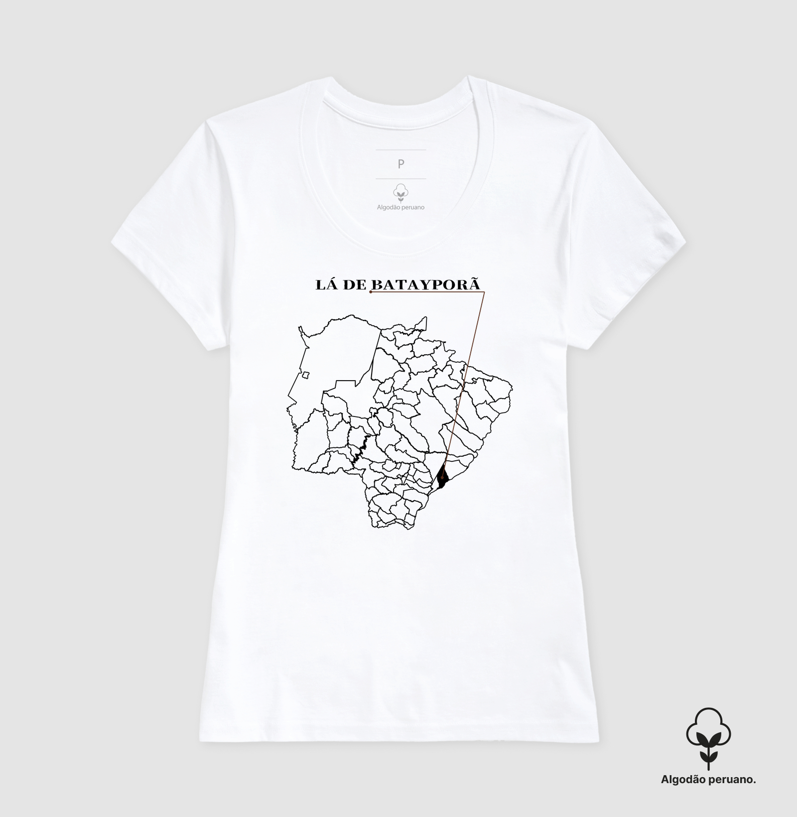 Batayporã | Origem MS - Imagem 6