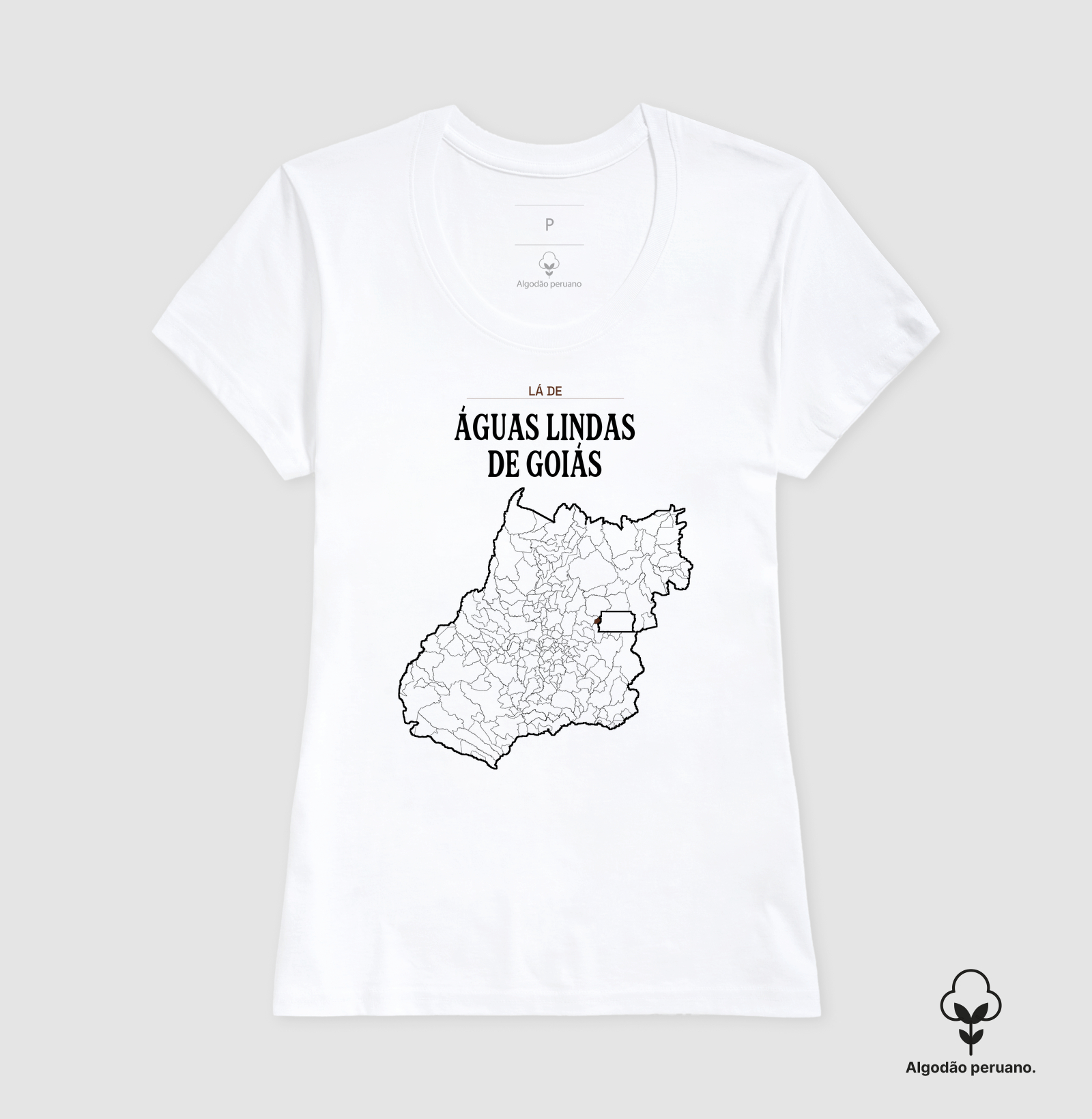 Águas Lindas de Goiás | Território GO - Imagem 8