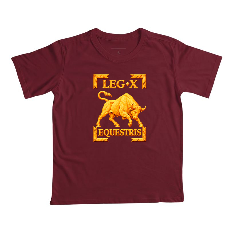 LEGIO — X Equestris - III - Imagem 2