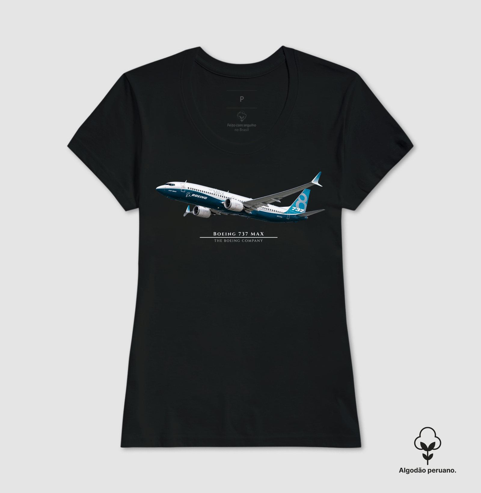 Boeing 737 MAX - Imagem 6