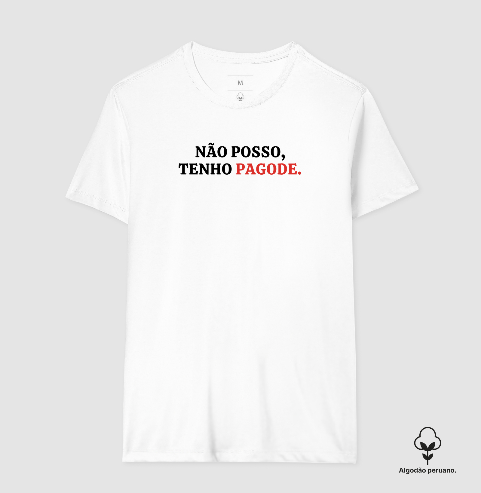 Não posso tenho pagode - Imagem 5