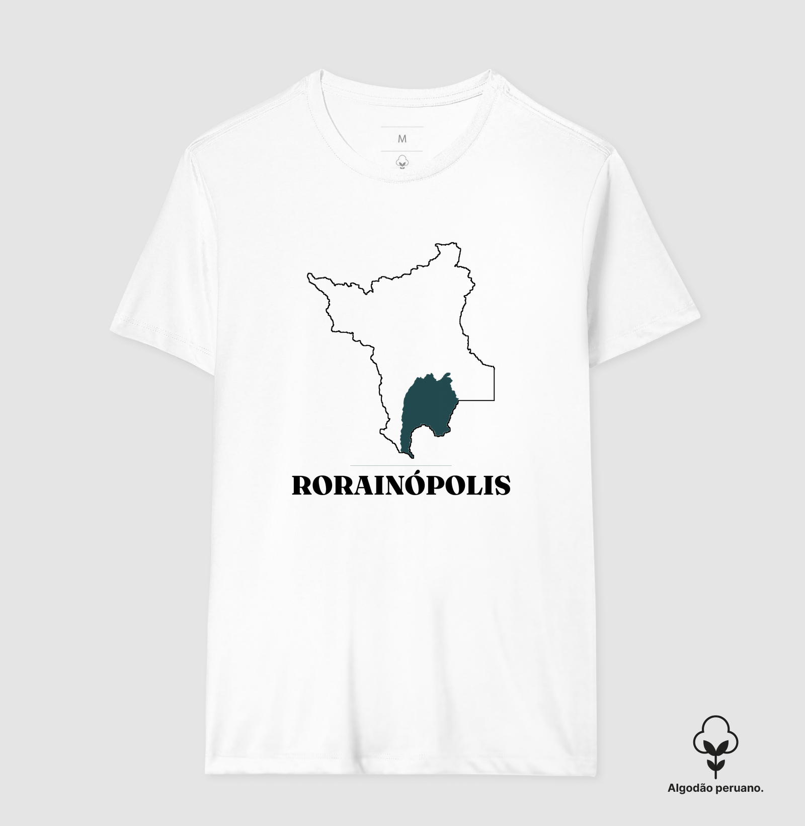 Rorainópolis | Traço RR - Imagem 3