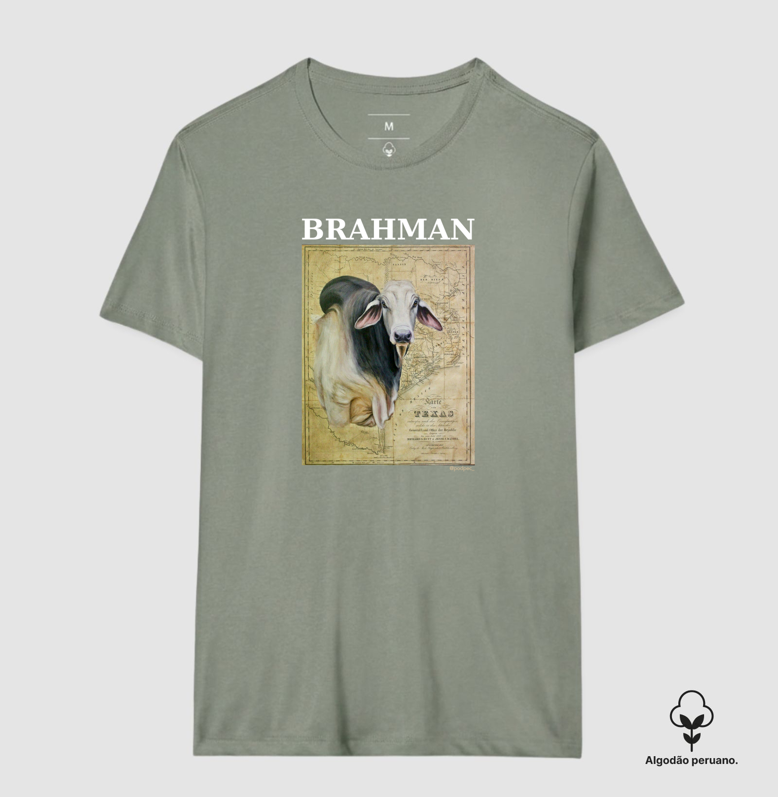 Brahman - From Texas - Imagem 9