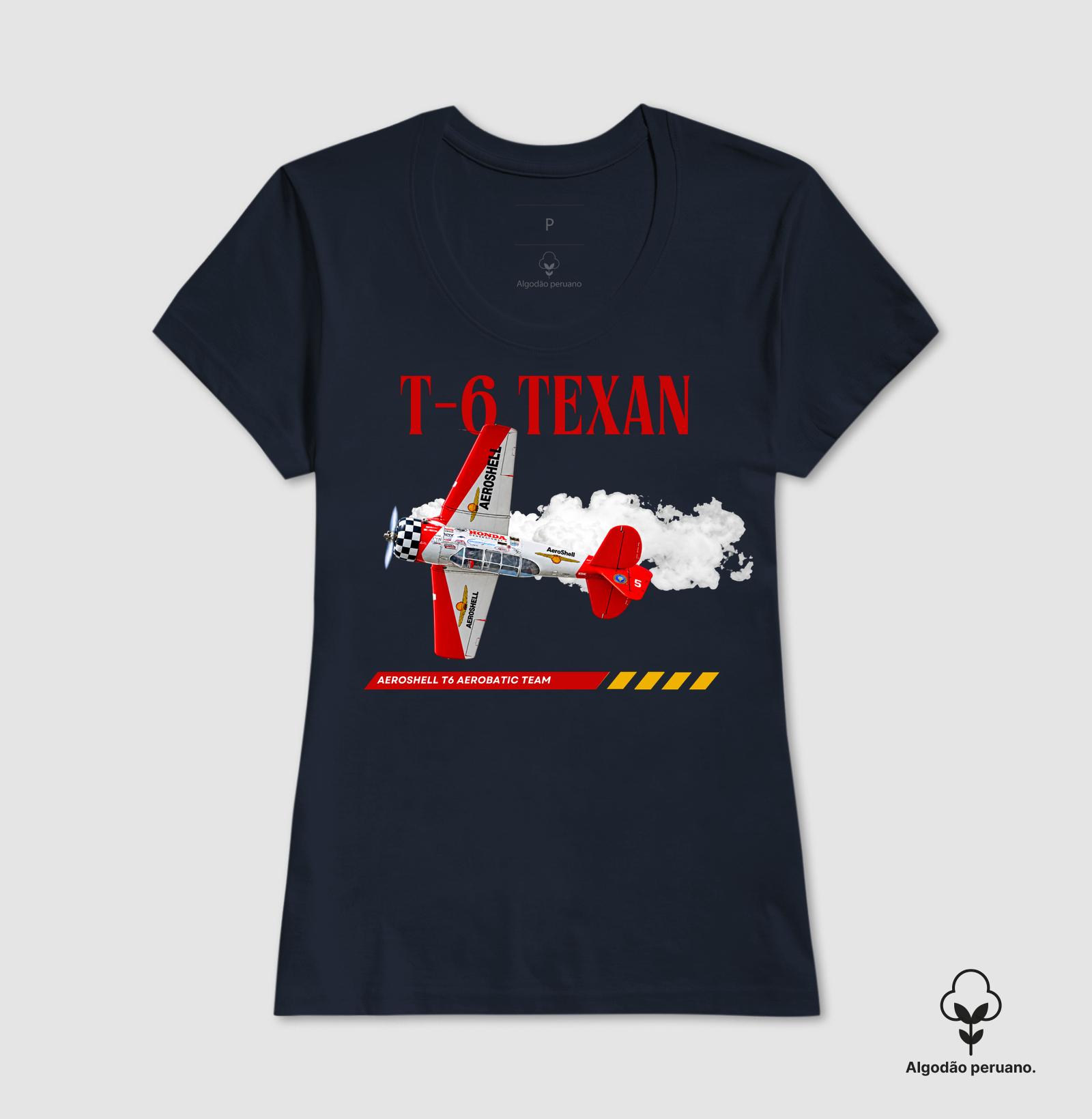 T-6 AeroShell - Imagem 6