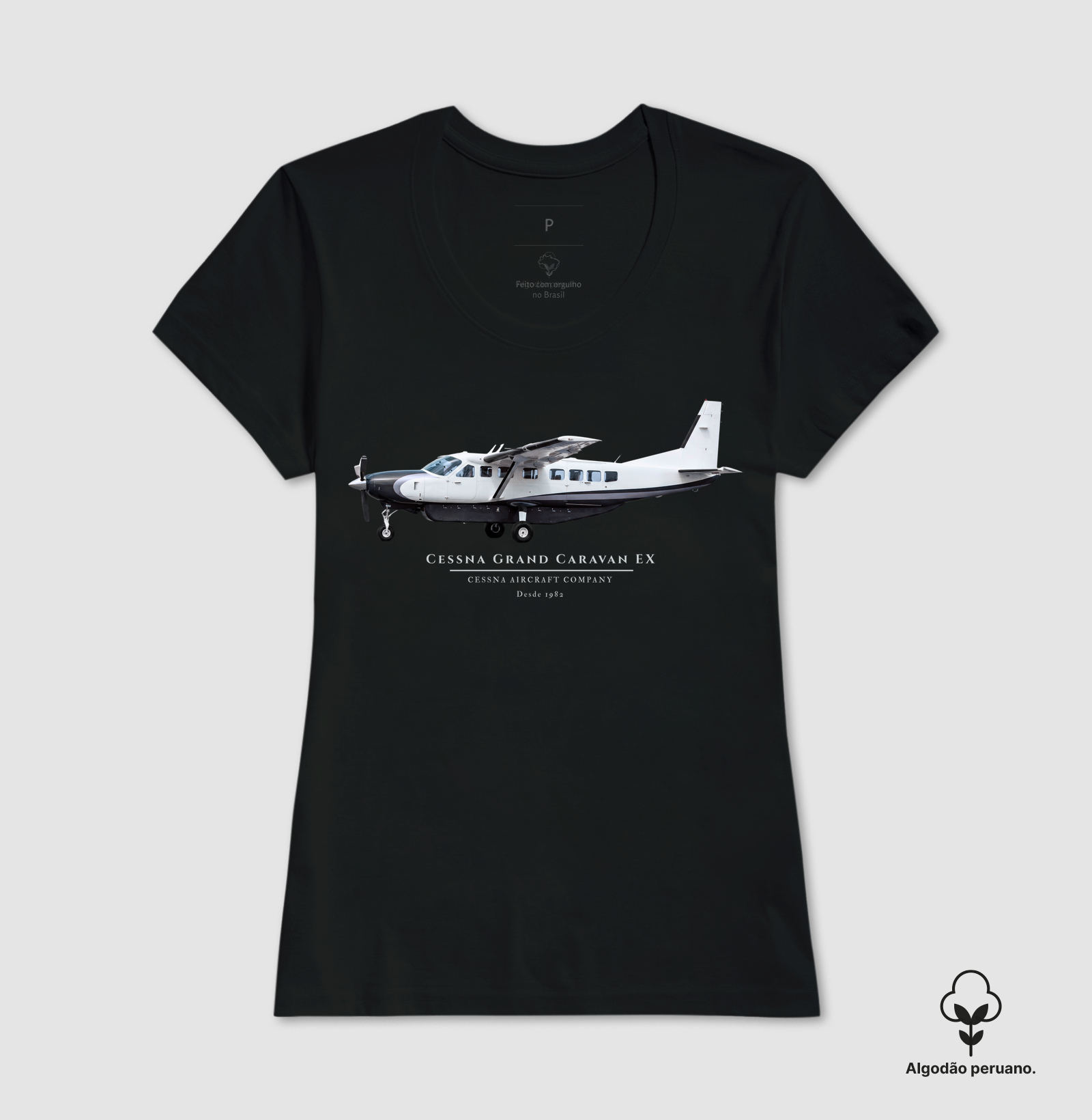 Cessna Grand Caravan EX - Imagem 4