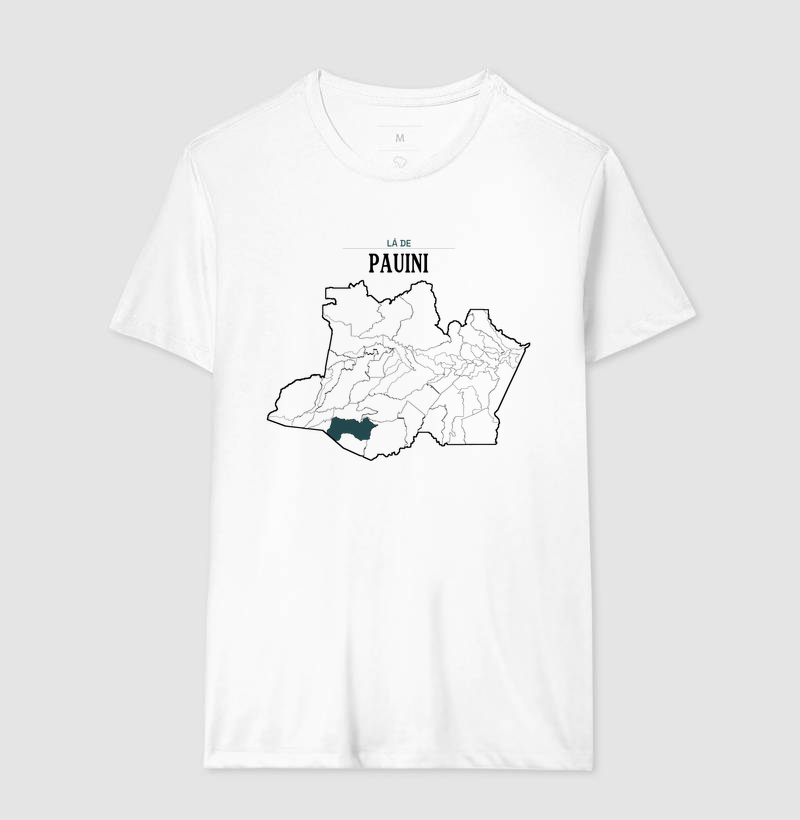 Pauini | Território AM - Imagem 4
