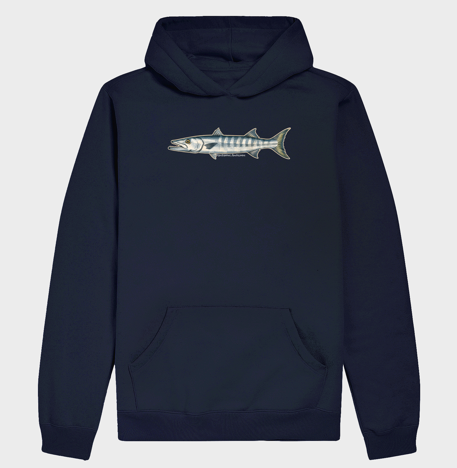Barracuda - Imagem 4