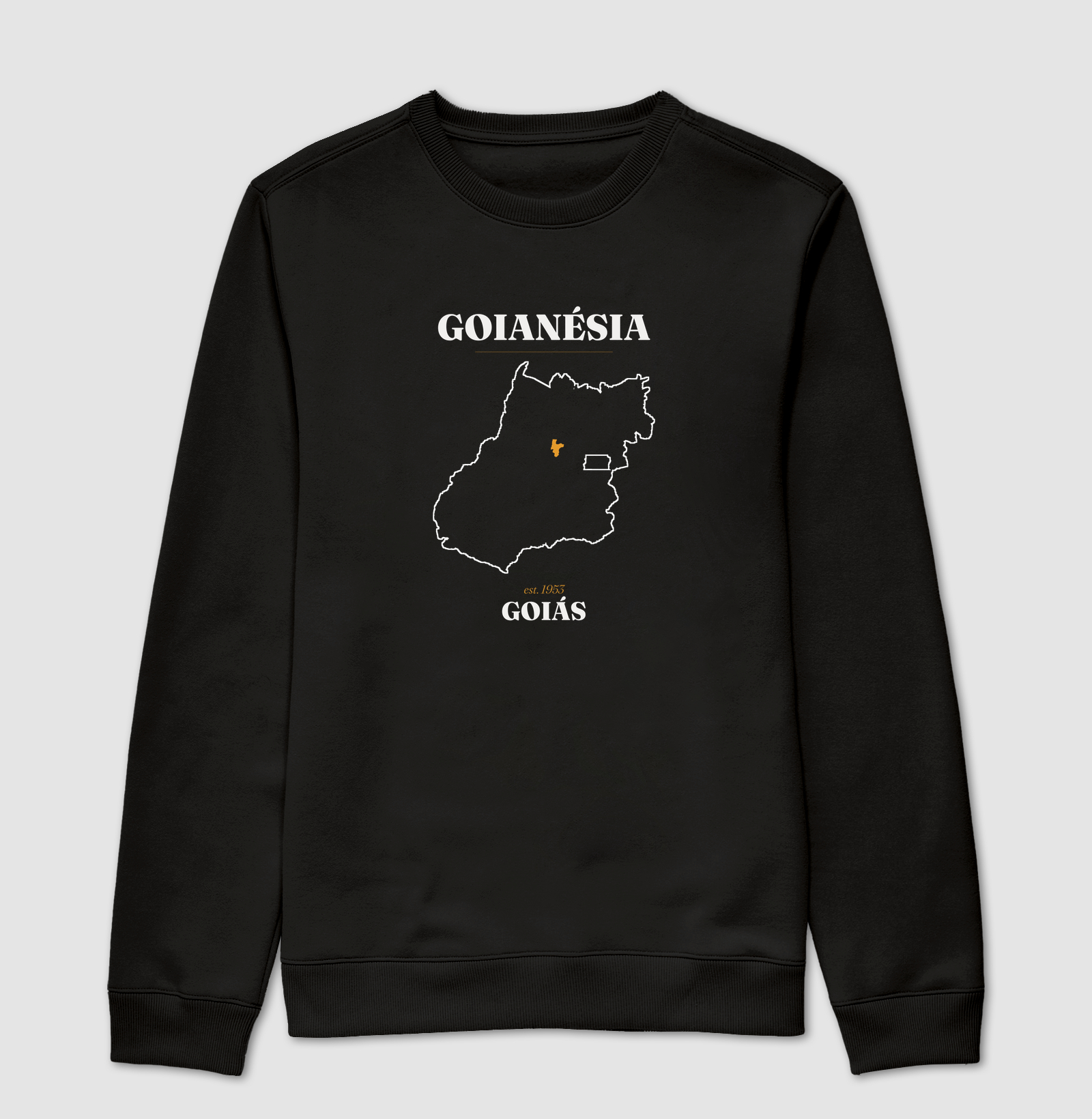 Goianésia | Legado GO - Imagem 4