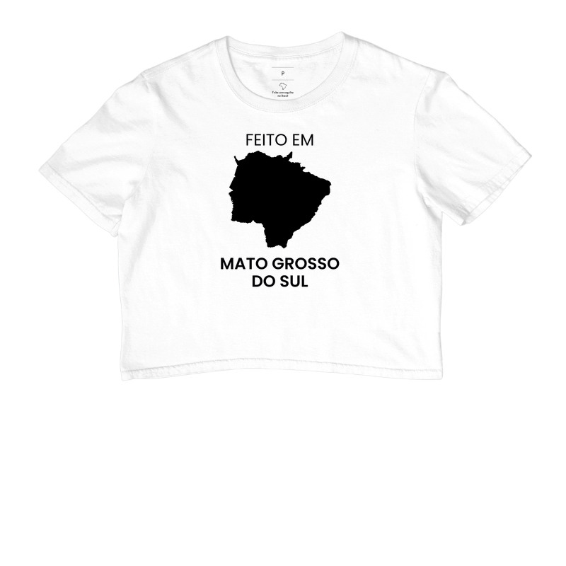 Feito em Mato Grosso do Sul - Imagem 3