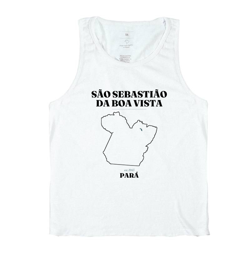 São Sebastião da Boa Vista | Legado PA - Imagem 2
