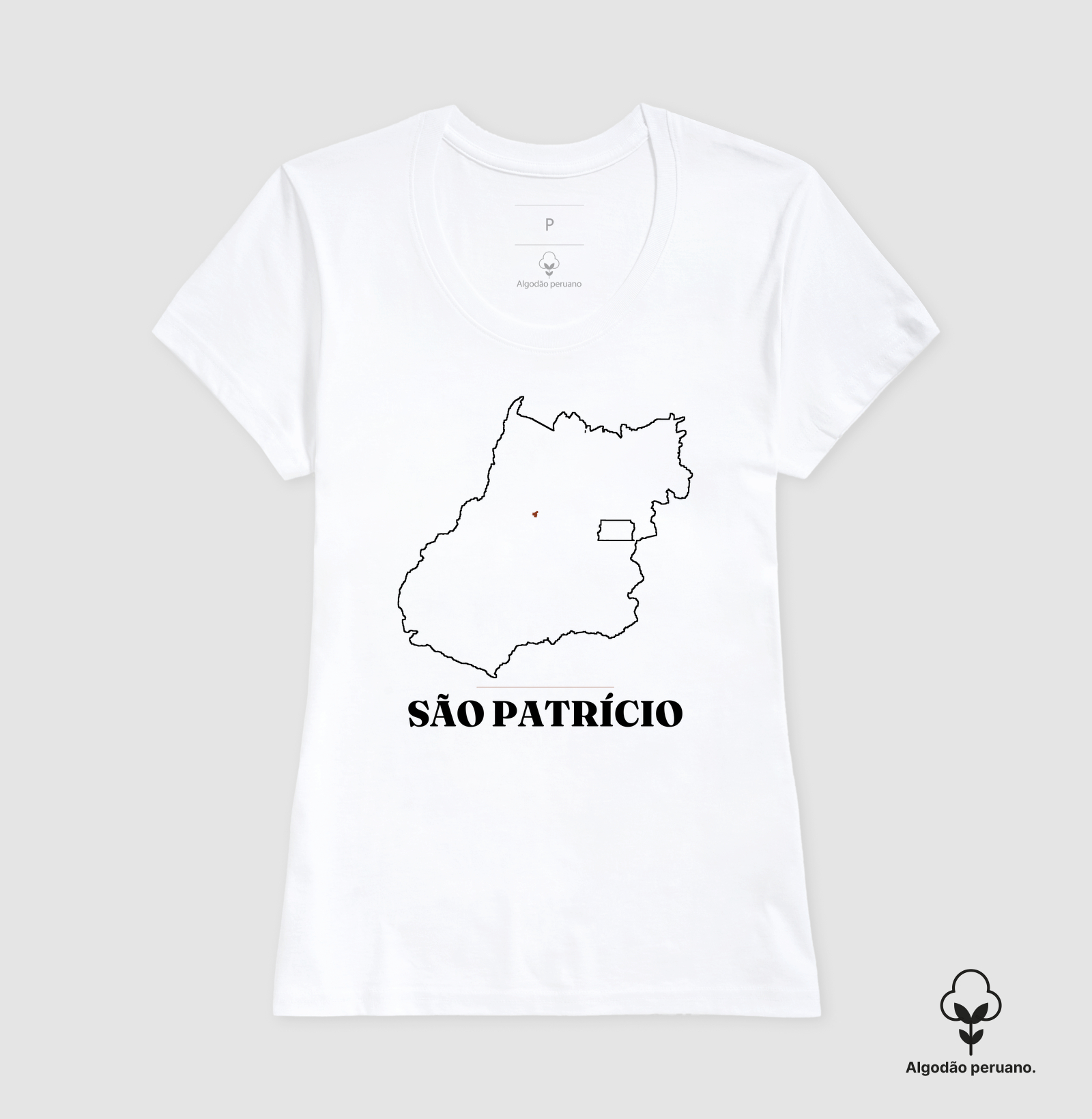 São Patrício | Traço GO - Imagem 9