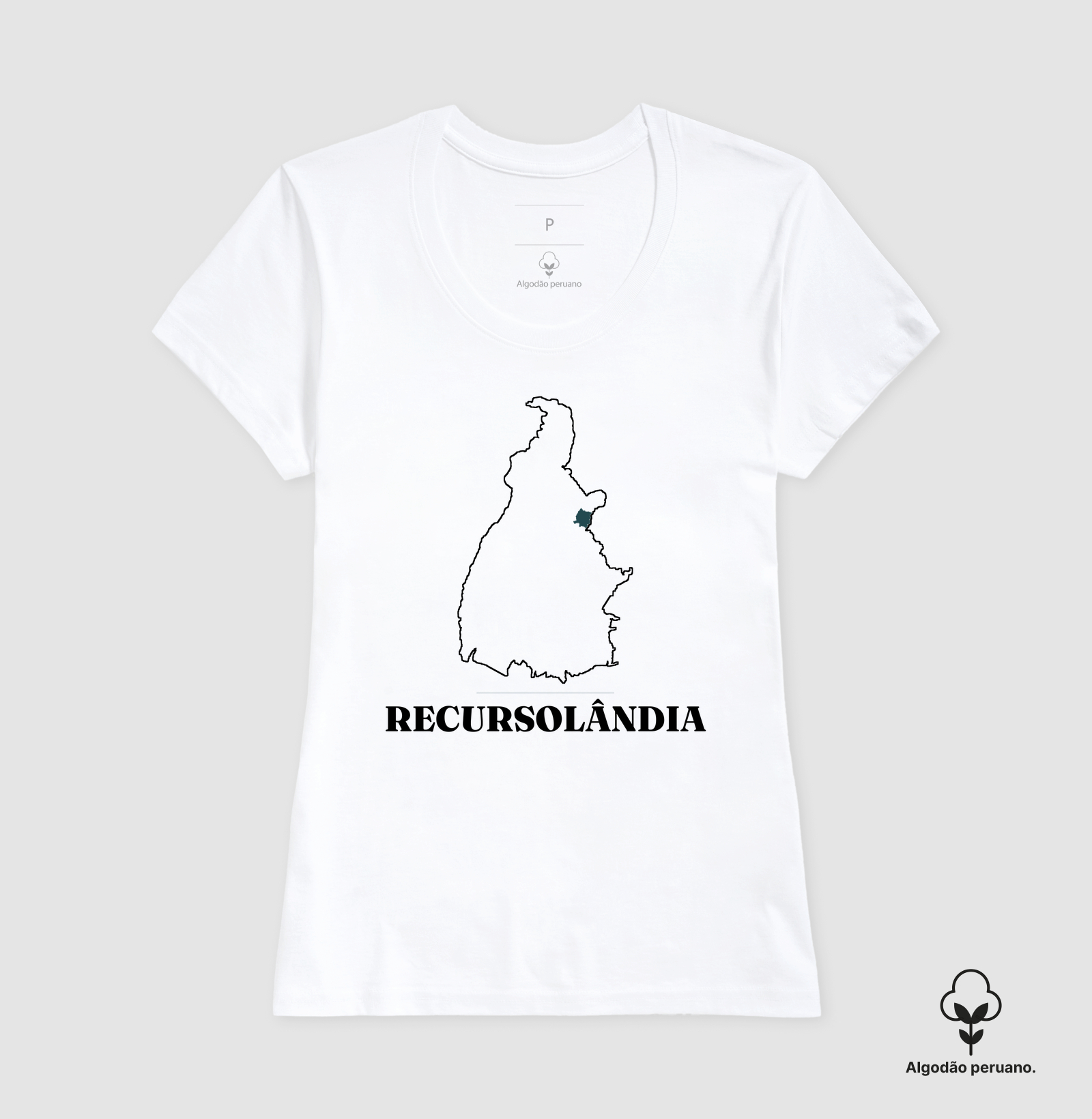 Recursolândia | Traço TO - Imagem 6