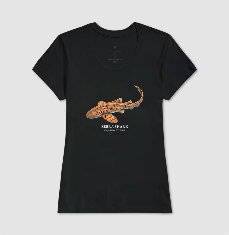 Zebra Shark - Imagem 4