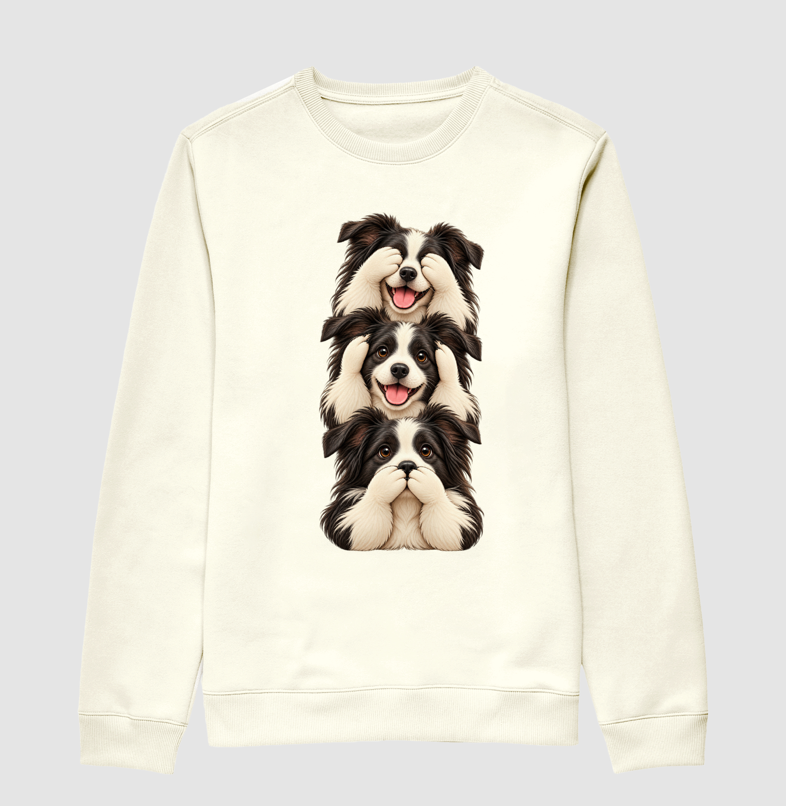Ver, ouvir e falar Border Collie - Imagem 2