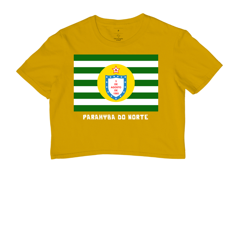 Parahyba do Norte | Bandeira - Imagem 8