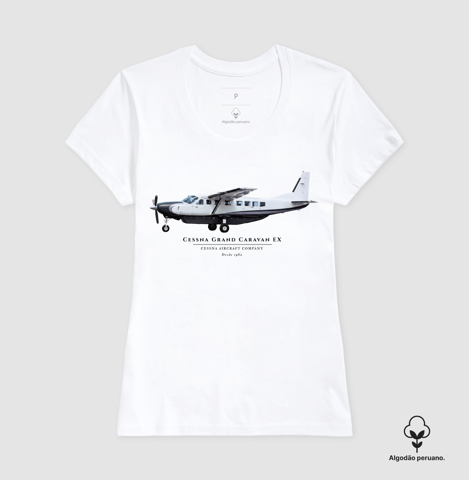 Cessna Grand Caravan EX - Imagem 5